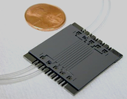 Cell platform in silicon